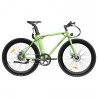 FAFREES F1 700C*28C Elektrofahrrad – 250W bürstenloser Motor & 36V 8,7Ah Akku