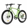 FAFREES F1 700C*28C Elektrofahrrad – 250W bürstenloser Motor & 36V 8,7Ah Akku