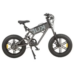 KUGOO T01 20*4.0 Inch Tires Electric Bike - 48V 500W Brushless Motor & 48V 13Ah Battery