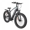 Bezior XF800 26*4.0” Tire Electric Bicycle Mountain E-Bike (500W Mid-drive Motor & 48V 13Ah Battery)