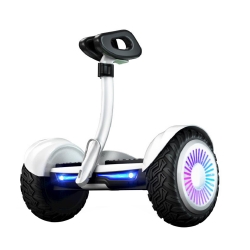 IENYRID K8 10 Inch Off-road Tires Self-balancing Electric Scooter - 350W Dual Motor & 4Ah Battery