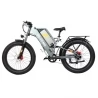 GOGOBEST GF650 26*4.0'' Fat Tire Electric Bike - 1000W Dual Motor & 48V 20Ah Battery