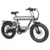 GOGOBEST GF500 20*4.0 Inch Fat Tire Electric Bike - 750W Brushless Motor & 48V 20Ah Battery
