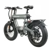 GOGOBEST GF500 20*4.0 Inch Fat Tire elektrische fiets - 750W Brushless Motor & 48V 20Ah Batterij