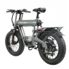 GOGOBEST GF500 20*4.0 Inch Fat Tire Electric Bike - 750W Brushless Motor & 48V 20Ah Battery