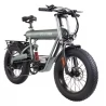 GOGOBEST GF500 20*4.0 Inch Fat Tire elektrische fiets - 750W Brushless Motor & 48V 20Ah Batterij