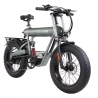 GOGOBEST GF500 20*4.0 Inch Fat Tire Electric Bike - 750W Brushless Motor & 48V 20Ah Battery