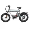 GOGOBEST GF500 20*4.0 Inch Fat Tire Electric Bike - 750W Brushless Motor & 48V 20Ah Battery