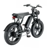 OUXI V8 20 Zoll Retro E-Bike Mit Fat Tyres - 48V 15 Ah Lithium Batterie Und 750W Motor