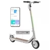 Atomi Alpha Foldable Electric Scooter, 650W Motor, 10Ah Battery, 2A Charger, Anti-theft Cable Lock - Zinc White