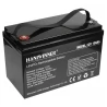 HANIWINNER HD009-10 12.8V 100Ah LiFePO4 Lithium Batterie Pack Notstromversorgung, 1280 Wh Energie, 2000 Zyklen, integriertes BMS