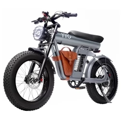 YYG GYL111 20*4.0 Inch Tire Electric Bike, 1200W Motor, 48V 20Ah Battery, 65km Max Range