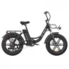 ENGWE L20 20*4.0 Inch Mountain Tire Electric Bike, 250W Motor, 25km/h Max Speed, 48V 13Ah Battery - Black