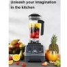 BioloMix T5200 3HP 2200W Timer Blender, Fruit Food Mixer Juicer, 2L Capacity, BPA Free