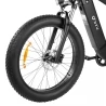 DYU King 750 26 Inch Fat Tire Mountain Electric Bike, 48V 750W Brushless High-Speed Motor, 20Ah Battery