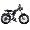 Riding' times Z8 Electric Bike, 20*4.0in Fat Tire, 500W Motor, 15Ah Battery