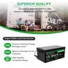 LANPWR 12V 300Ah LiFePO4 Lithium Battery Pack Backup Power, 3840Wh Energy, 4000  Deep Cycles, Built-in 200A BMS