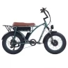 GOGOBEST GF750 Plus Electric Bike,1000W*2 Motor, 48V 17.5Ah Battery,Front and Rear Hydraulic Brakes - Army Green