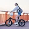 KuKirin V2 City Foldable Electric Bike, 20'' Tires, 7.5Ah Removable Battery, 250W Motor, 25km/h Max Speed