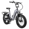 FAFREES F20 Master Elektrische fiets, Carbon Fiber, 500W Hub Motor, 48V 22.5Ah Samsung Batterij, 20 * 4.0 Inch Luchtband - Grijs