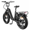 FAFREES F20 Master Elektrische fiets, Carbon Fiber, 500W Hub Motor, 48V 22.5Ah Samsung Batterij, 20 * 4.0 Inch Luchtband - Zwart