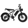 EUENI FXH009 Elektrische fiets met 20 inch banden, 750W motor, 45 km/u, 15Ah accu, 96 km - Grijs