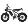 EUENI FXH009 20 inch Tire Electric Bike, 750W Motor, 45km/h, 15Ah Battery, 96km - Grey
