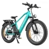 ENGWE E26 Mountain Electric Bike, 48V 16AH Battery, 250W Motor - Green
