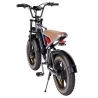 HAPPYRUN G60 Electric Bike, 20 Inch Fat Tire, 48V 750W Brushless Motor, 48V 18Ah Removable Battery