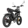 Ridstar Q20 Pro Off-road Electric Bike, 20*4 Inch Fat Tires, 2*1000W Motor, 52V 20Ah Dual Battery
