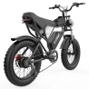 Ridstar Q20 Electric Bike, 1000W Motor, 20*4 Inch Fat Tires, 20Ah Removable Battery, 30mph Max Speed