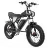 Ridstar Q20 Electric Bike, 1000W Motor, 20*4 Inch Fat Tires, 20Ah Removable Battery, 30mph Max Speed
