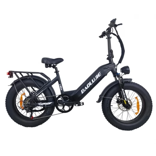 

BAOLUJIE DP2003 Electric Bike, 20*4 inch Tires, 500W Motor, 12Ah Battery, 45km/h Max Speed, 40km - Black