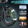 AILIFE X20B Electric Bike, 20*4.0 inch Fat Tires, 1000W Motor, 30mph Max Speed, 62miles Max Range - Black
