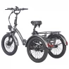 FAFREES F20 Mate Electric Tricycle Cargo, 500W Brushless Motor, 48V/18.2Ah Battery, 20*3.0-inch Fat Tires - Grey