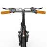 ONESPORT OT16-2 Foldable Electric Bike, 250W Motor, 48V 17Ah Battery, 20*3.0 inch Tires - Black Brown