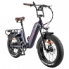 FAFREES F20 Master elektrische fiets, Carbon Fiber, 500W naafmotor, 48V 22.5Ah batterij, 20*4.0 Inch luchtband - Aurora Grey