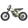 FAFREES F20 ULTRA Electric Bike, 750W Motor, 48V 25Ah Battery, 20*5-inch Fat Tires, 25km/h Max Speed - Green