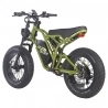 FAFREES F20 ULTRA Electric Bike, 750W Motor, 48V 25Ah Battery, 20*5-inch Fat Tires, 25km/h Max Speed - Green