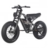 FAFREES F20 ULTRA Electric Bike, 750W Motor, 48V 25Ah Battery, 20*5-inch Fat Tires, 25km/h Max Speed - Grey