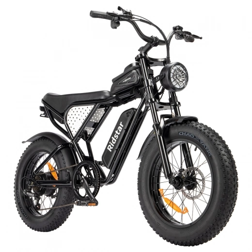 

Ridstar Q20 Mini Electric Bike, 1000W Motor, 48V 15AH Battery, 20*4.0 inch Fat Tires, 40km/h Max Speed