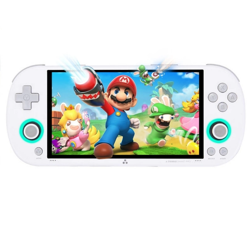 TRIMUI Smart Pro Handheld Game Console, 4.96-inch IPS Screen