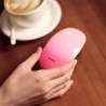 Xiaomi Yueli Anion massage kam styling borstel geef negatieve ionen