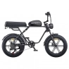 ENGWE M1 Electric Bike  250W Motor  48V 15 6Ah 13Ah Battery  20*4 0 inch Fat Tire  25 km/h Max Speed  170km Range  Hydraulic Di