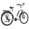 TTGO C7 ZZ-28ST  Electric Bike  250W Motor  36V 20Ah Battery  700C*45C Tire  25km/h Max Speed  160-180km Range  Hydraulic Disc 