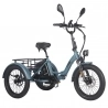 Fafrees F20 Mate Electric Cargo Tricycle EU L1e-B Certified Version  500W Motor  48V 21Ah Battery  20*3 inch Tires  30km/h Max 