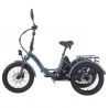 Fafrees F20 Mate Electric Cargo Tricycle EU L1e-B Certified Version  500W Motor  48V 21Ah Battery  20*3 inch Tires  30km/h Max 