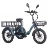 Fafrees F20 Mate Electric Cargo Tricycle EU L1e-B Certified Version  500W Motor  48V 21Ah Battery  20*3 inch Tires  30km/h Max 