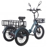 Fafrees F20 Mate Electric Cargo Tricycle EU L1e-B Certified Version  500W Motor  48V 21Ah Battery  20*3 inch Tires  30km/h Max 