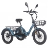 Fafrees F20 Mate Electric Cargo Tricycle EU L1e-B Certified Version  500W Motor  48V 21Ah Battery  20*3 inch Tires  30km/h Max 